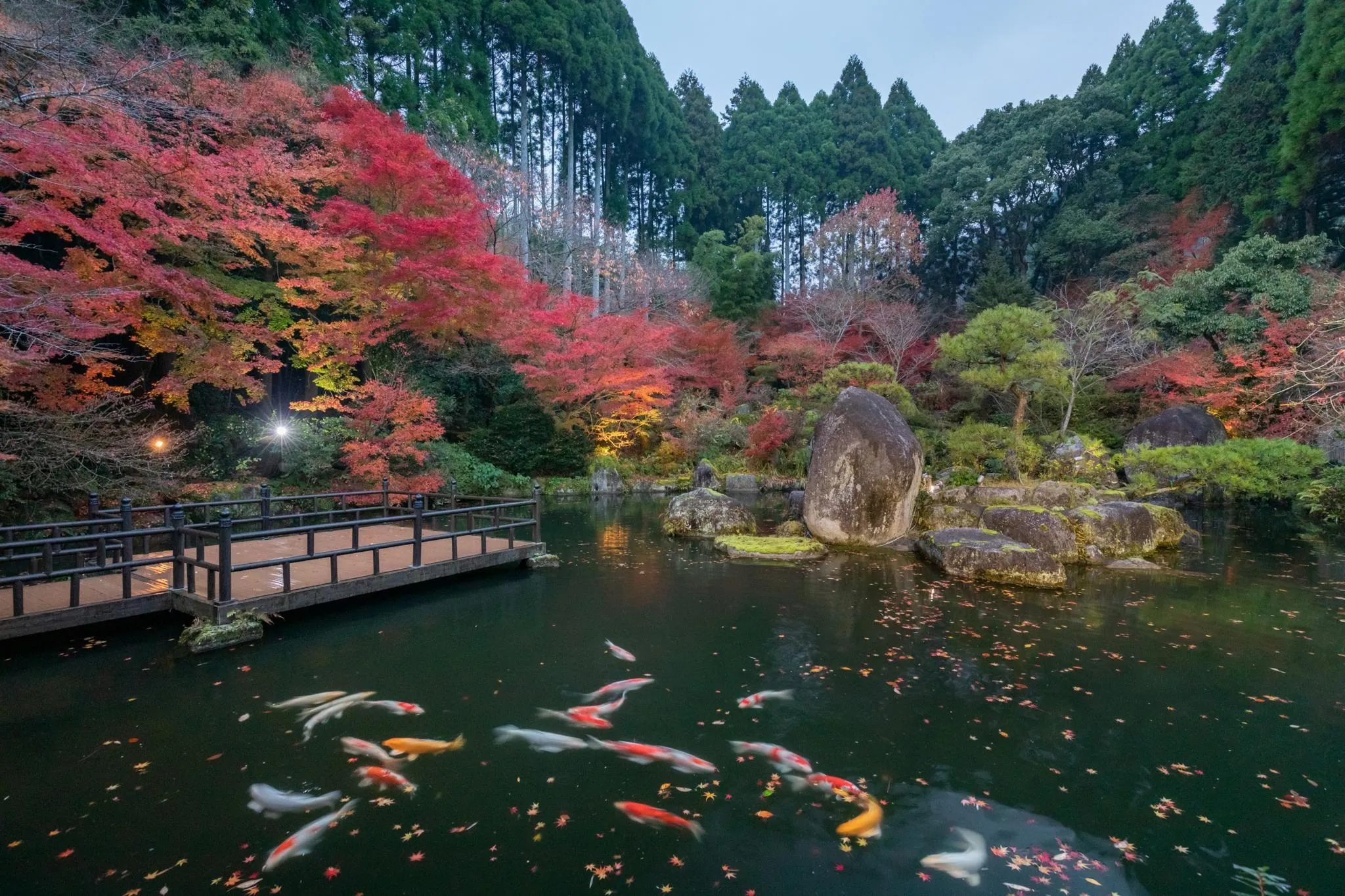 秋月温泉 料亭旅館 清流庵